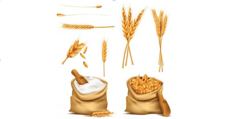 Freepik/vectorpocket